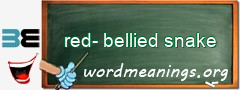 WordMeaning blackboard for red-bellied snake